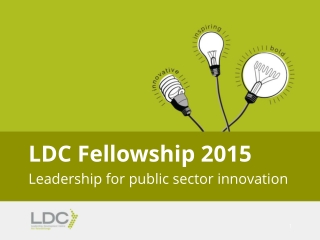 LDC Fellowship 2015