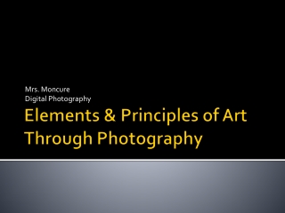 Elements &amp; Principles of Art Through Photography
