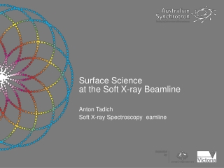 Surface Science at the Soft X-ray Beamline