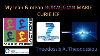 My lean &amp; mean NORWEGIAN MARIE CURIE IEF