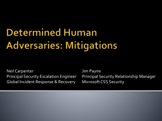 Determined Human Adversaries: Mitigations