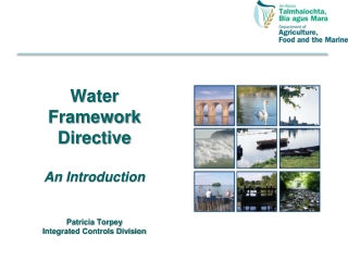 Water Framework Directive An Introduction Patricia Torpey Integrated Controls Division