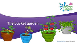 The bucket garden