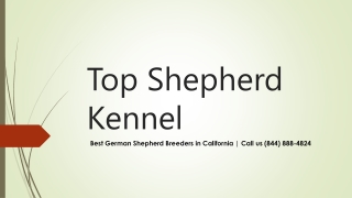 Buy German Shepherd for Sale in California | Topshepherd Kennel