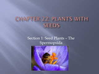Chapter 22: Plants with Seeds