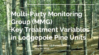 Multi-Party Monitoring Group (MMG) Key Treatment Variables in Lodgepole Pine Units