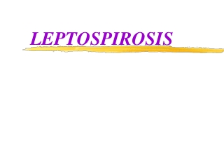 LEPTOSPIROSIS