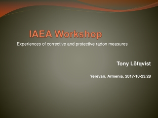 IAEA Workshop