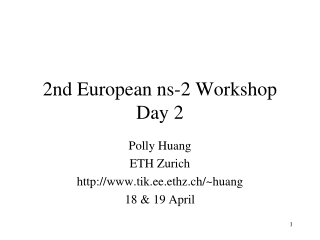2nd European ns-2 Workshop Day 2