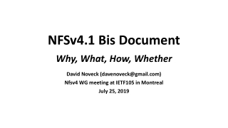 NFSv4.1 Bis Document Why, What, How, Whether