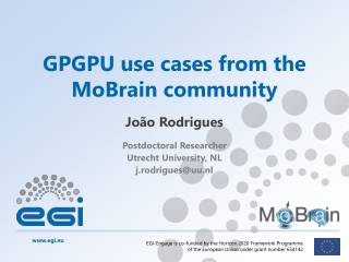 GPGPU use cases from the MoBrain community