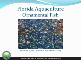 Florida Aquaculture Ornamental Fish