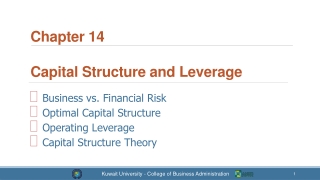 Chapter 14 Capital Structure and Leverage