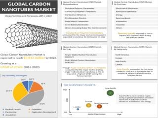 Carbon Nanotubes Market is Anticipated to Reach $3,812 Million by 2022