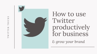 How to use Twitter productively for business & grow your brand