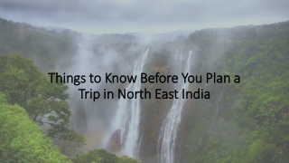Things to Know Before You Plan a Trip in North East India