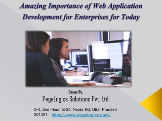 Amazing Importance of Web Application Development for Enterprises for Today