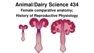 Animal/Dairy Science 434