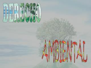 CONCIENCIA AMBIENTAL