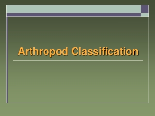 Arthropod Classification