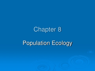 Chapter 8