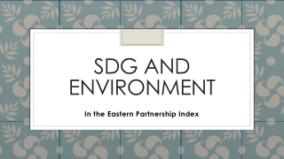 SDG and environment