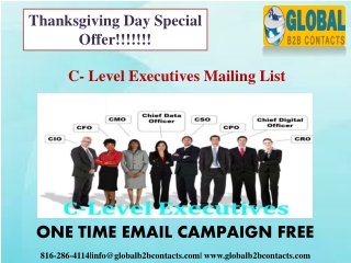 C- Level Executives Mailing List