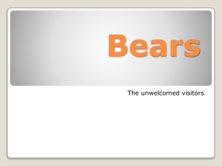 Bears