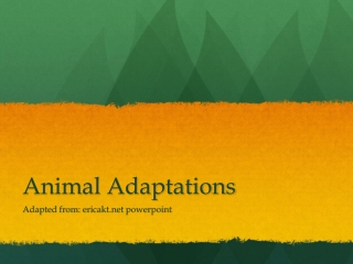 Animal Adaptations