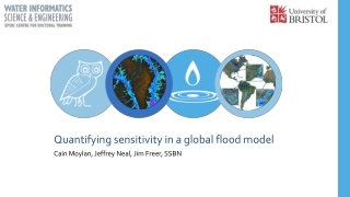 Quantifying sensitivity in a global flood model Cain Moylan, Jeffrey Neal, Jim Freer, SSBN