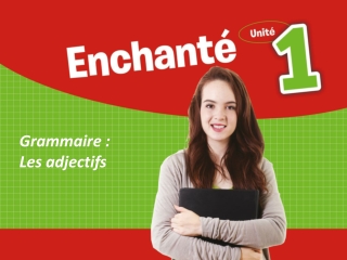 Grammaire : Les adjectifs