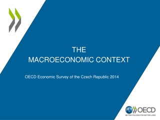 The Macroeconomic context