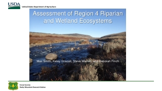 Assessment of Region 4 Riparian and Wetland Ecosystems