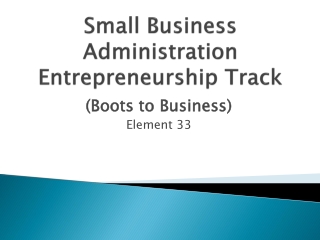 Small Business Administration Entrepreneurship Track