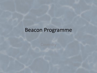 Beacon Programme