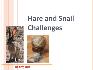 Hare and Snail Challenges