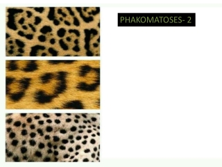 PHAKOMATOSES- 2