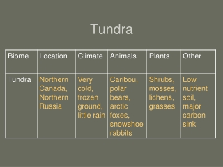 Tundra