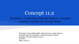 Concept 11.2