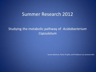 Summer Research 2012 Studying the metabolic pathway of Acidobacterium Capsulatum