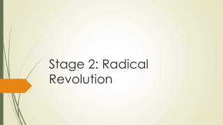 Stage 2: Radical Revolution