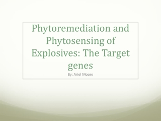 Phytoremediation and P hytosensing of Explosives: The T arget genes
