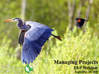 Managing Projects ELP Webinar September 28, 2015