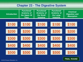 Chapter 23 - The Digestive System