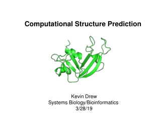 Computational Structure Prediction