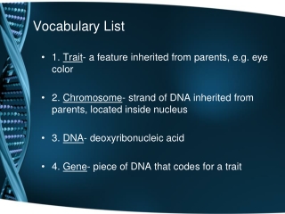 Vocabulary List