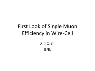 First Look of Single Muon Efficiency in Wire-Cell