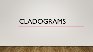 CLADOGRAMS