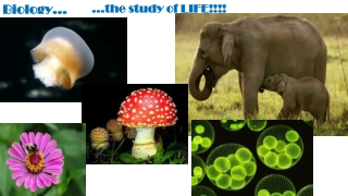 Biology…