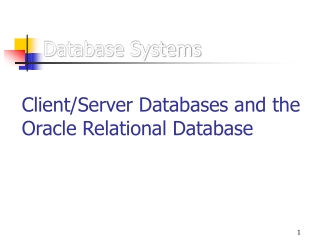 Database Systems